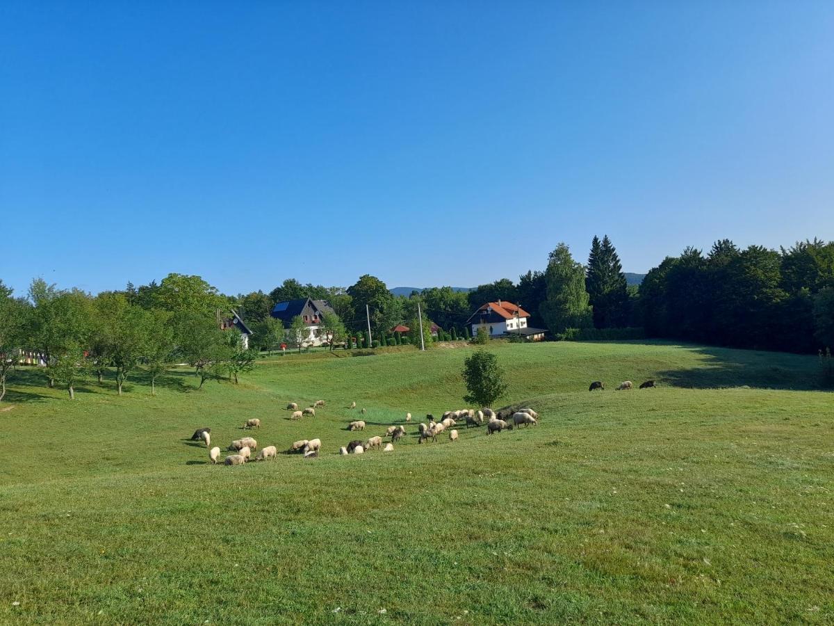 Hotel Pansion Breza Plitvička Jezera Zewnętrze zdjęcie