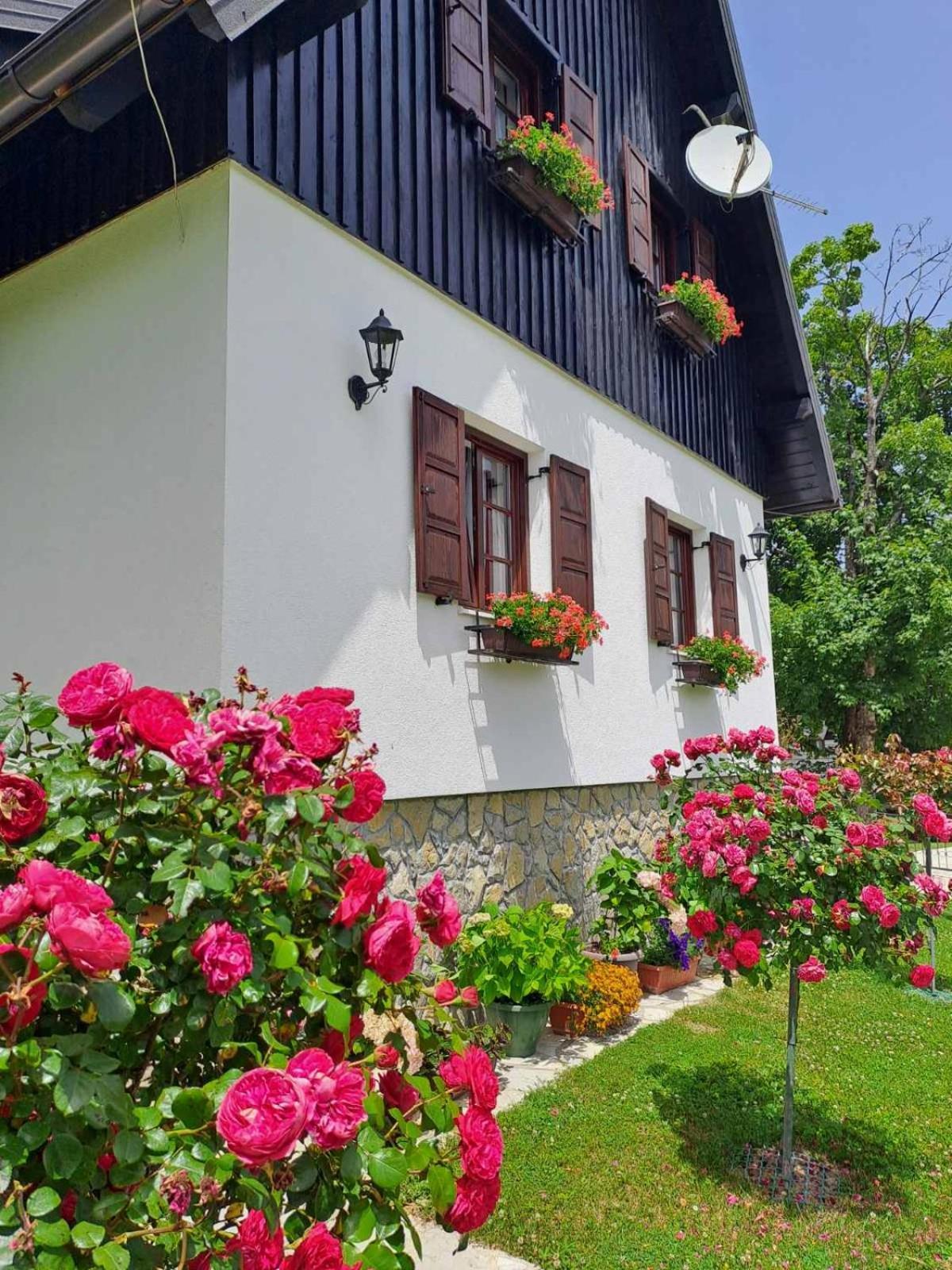 Hotel Pansion Breza Plitvička Jezera Zewnętrze zdjęcie