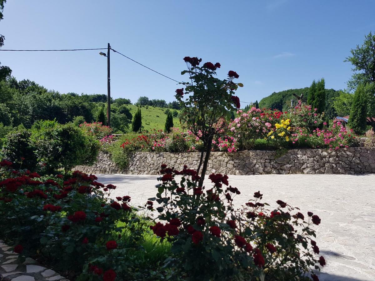 Hotel Pansion Breza Plitvička Jezera Zewnętrze zdjęcie