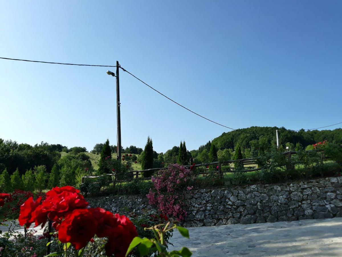 Hotel Pansion Breza Plitvička Jezera Zewnętrze zdjęcie